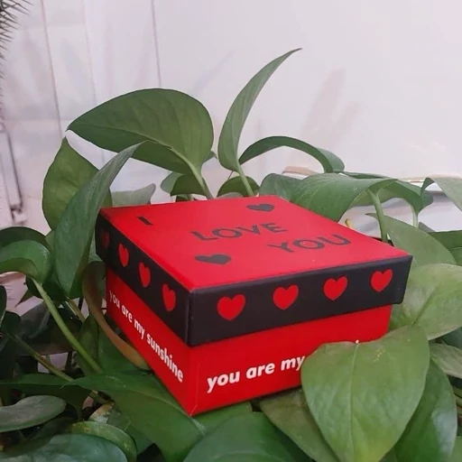 جعبه کادویی جعبه هدیه مربع کوچک 10 در 10- فروشگاه میس پارلا